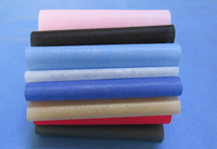 蓝山涤纶(PET)无纺布是什么